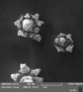 Nanokwiaty, obraz mikroskopowy